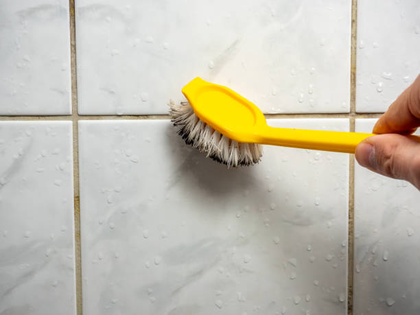 Best Office Mold Removal Services  in Morton, PA