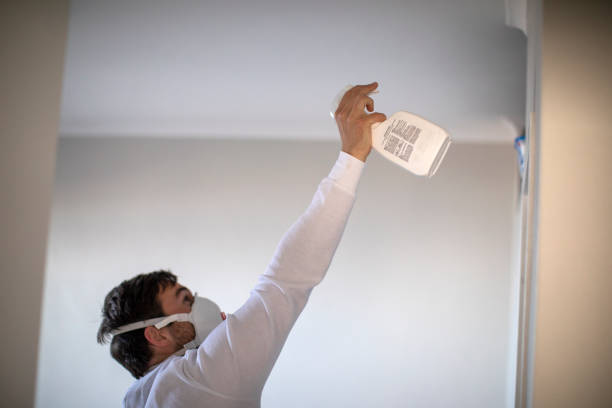 Best Crawl Space Mold Removal  in Morton, PA